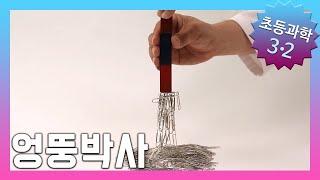 탐구를 실행해 볼까요? | 초등3학년2학기 과학, 실험 |