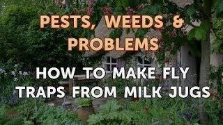 How to Make Fly Traps From Milk Jugs