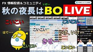 FX実践解説、秋の夜長はBO「こいこい？させー？？いけー？？？」（2024年11月8日)