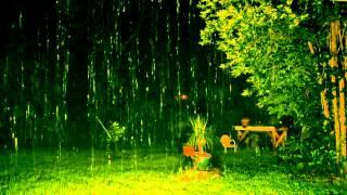 "Rain Sounds" with no Music 90mins "Sleep Sounds" ASMR