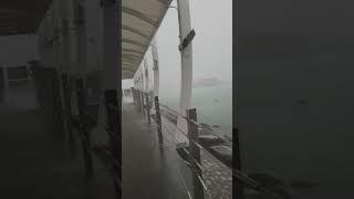 今日凄く大雨でも釣りに行った 大雨で全身びっしょり濡れた。風邪を引かないようにTシャツを脱いで釣りしてた 気持ち~ #shorts #fishing #香港 #釣り