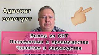 Выход из СНТ. Последствия и преимущества. Членство в садоводстве.