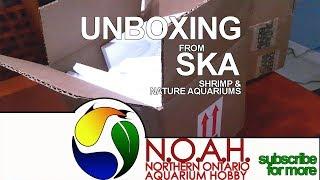 Aquatic Plant Unboxing & Review  SKA Shrimps and Nature Aquariums