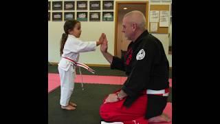 The Karate Mystic Dojo Family Trailer