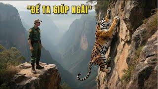 Anh Cứu Con Hổ Bị Ngã Từ Vách Núi – Sáng Hôm Sau, Nó Quay Lại Với Một Bí Mật Gây Sốc
