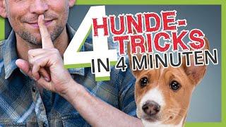 4 HUNDETRICKS IN 4 MINUTEN!