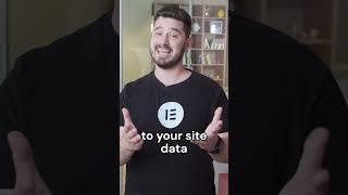 Control Your Website Database with Elementor Hosting