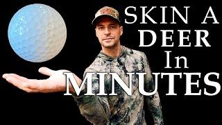 HOW TO SKIN A DEER WITH A GOLF BALL - THE FASTEST way to Skin a Deer! Skin a deer in MINUTES!