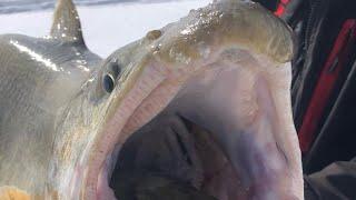 Extreme Ice Fishing In Northern Manitoba Canada