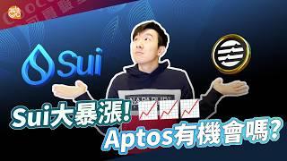 Sui後下一個暴漲的生態？Aptos有沒有機會？！｜酷可實驗室