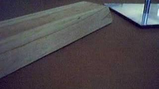 Montage (with skateplanb7)