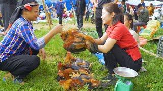 Harvesting Chicken ( Rooster ) in Nest Goes to market Sell | Ming Daily Life