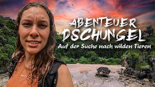 Auf der Suche nach wilden Tieren  Der Tag VOR unserer Dschungel-Tour! Expedition Borneo