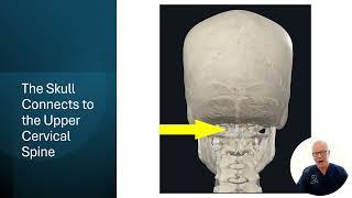 Upper Cervical Injury and Post Concussion Syndrome