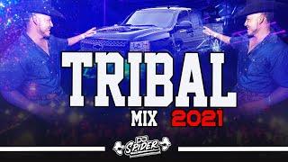 ''Tribal Mix 2021'' Dj Spider pzs