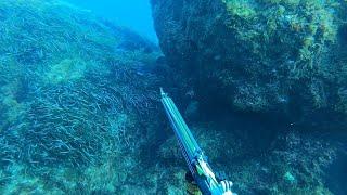 Two dives in Gozo - Spearfishing Malta