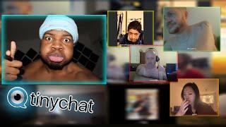 Killing the TINYCHAT...