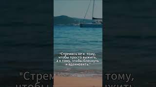 Сильные цитаты #цитаты #цитатысосмыслом #сильныецитаты