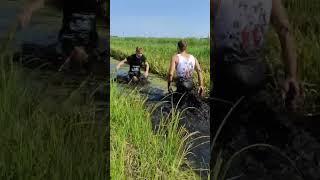 болотный бег