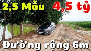 Bán 2,5 mẫu đất đen lên CLN làm vườn cây ăn trái rất tốt ở Ninh Điền Châu Thành Tây Ninh giá 4,5 tỷ