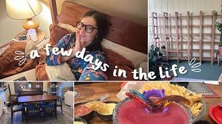 VLOG | my finished bed, fall clothes, and a plant room sneak peek