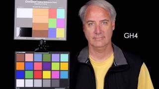 Color Match Panasonic GH4 and Sony a7S