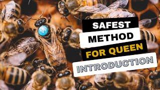 The Safest Method To Add Queens - How to Replace a Queen - How to Introduce Queen Bees
