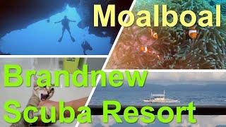 Moalboal, Brandnew Scuba Resort (2022.12)