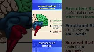 Paul Krismer on the Power of Emotional Intelligence  #motivation #happinessatwork