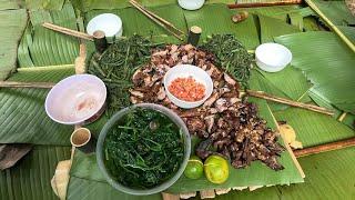 #761. Chuyến đi săn bội thu, phiêu lưu trong rừng