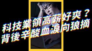 科技業領高薪好爽？背後辛酸血淚向狼摘｜志祺七七 #shorts