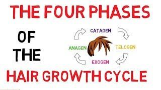 Understanding The Hair Growth Cycle | Adam Explains