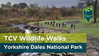 Yorkshire Dales National Park, Grassington | TCV Wildlife Walks