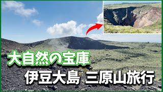 【絶景】大自然広がる火山島！伊豆大島で三原山登ってきた【旅行】Vlog