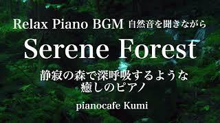 【作業用BGM】静寂の森で深呼吸するような癒しのピアノ・1/fゆらぎ・ヒーリング・Serene Forest ・Relax Piano BGM・healing