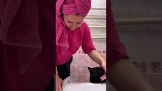Натуральный уход за волосами и лицом #haircare #curlyqueen #hair #skincare #skin
