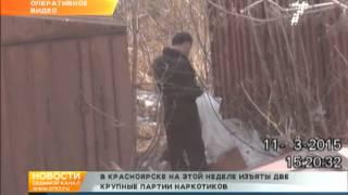 За три дня в Красноярске изъяли почти 50 кг наркотиков | 7 канал Красноярск