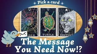 The Message You Need Now?️⎜ Pick a card⎜Timeless Reading