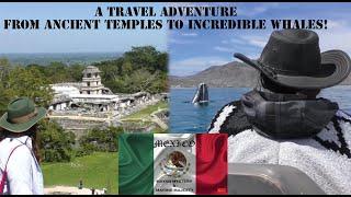 Mexico: Mayan Mystery and Marine Majesty -  Mexico Travel Documentary