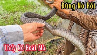 Hơn 60 Phút Căng Náo Với Con Hổ Mang Đen Này | Mười Thương SB