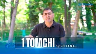 1 tomchi spermadan homilador bo'lish mumkinmi? | Doctor Hasan Medical Center