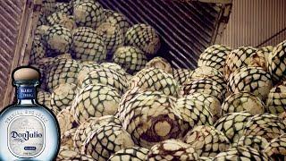 COMO se HACE el TEQUILA de la PIÑA de AGAVE| Documental Como se Hace el TEQUILA DON JULIO