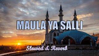 Maula Ya Salli - Muhammad Ahasan || ( Slowed & Reverb) || Islamic Naat || 2023 || Haidu channel ||