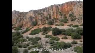 Morocco - Scenic route in Middle Atlas range