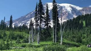 awesome view of Mount Rainier #vlog 21 #UNO TV   #shorts