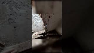 Удобства для забоя.