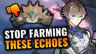 Remove RNG from Echoes! | Stop Farming these Mobs
