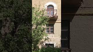На экскурсия «А у реки» с историком Евгением Бурденковым. Видеозарисовка.