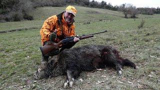 Caccia in battuta al cinghiale con la vecchia carabina trasformata con attacchi Contessa + mire LPA