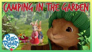 @OfficialPeterRabbit -  Camping in the Garden   | 20+ Mins | Cartoon for Kids